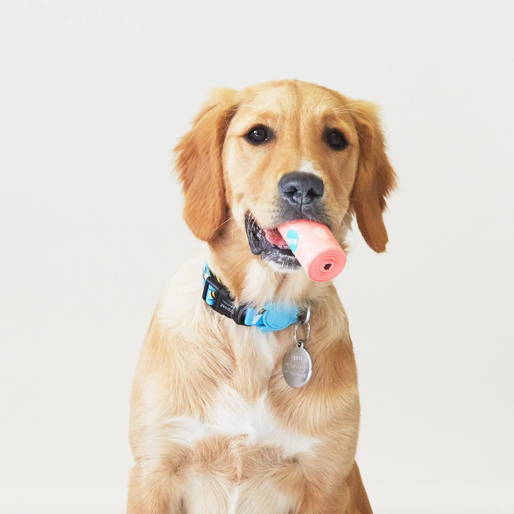 Adios Plastic Compostable Poop Bags