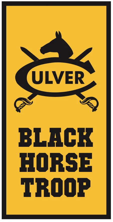 Black Horse Troop Banner - 18" x 36"