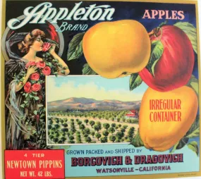 Crate Label, Appleton Newtown Pippins Apples, Original Lithograph, 1910's, Antique