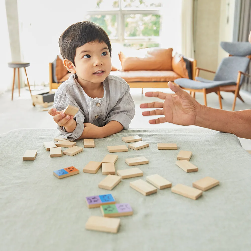 Eco-Friendly Wooden Emotion Dominoes