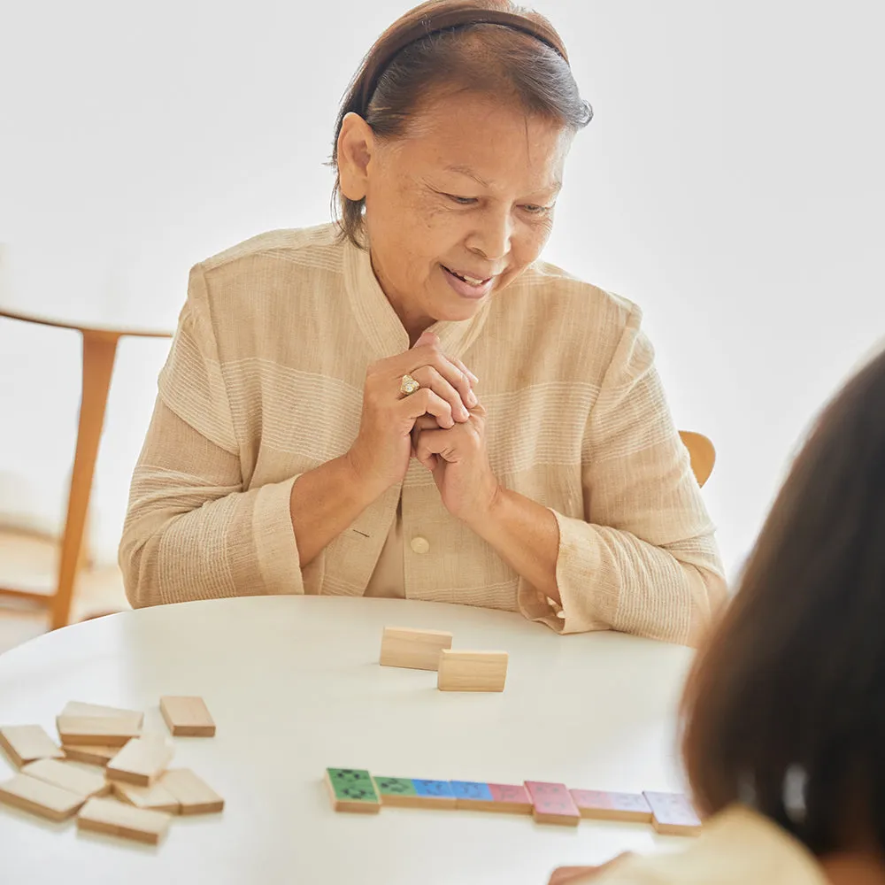 Eco-Friendly Wooden Emotion Dominoes