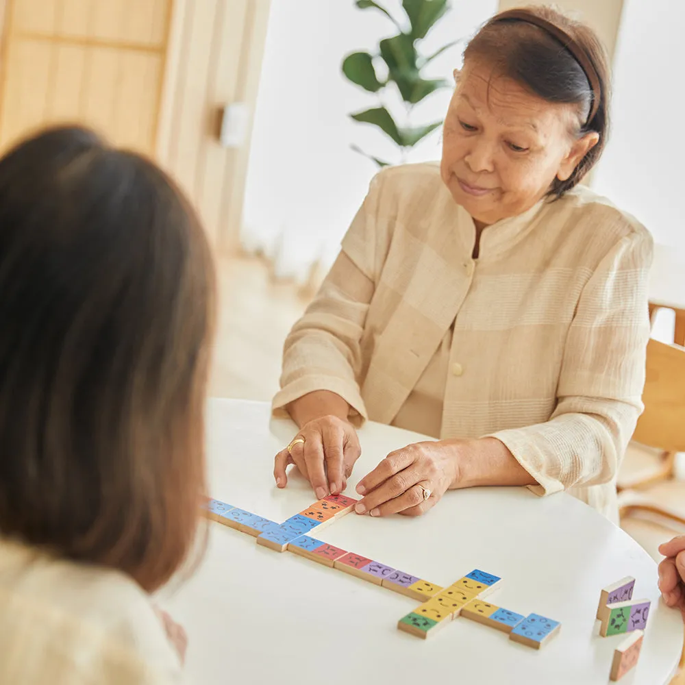 Eco-Friendly Wooden Emotion Dominoes