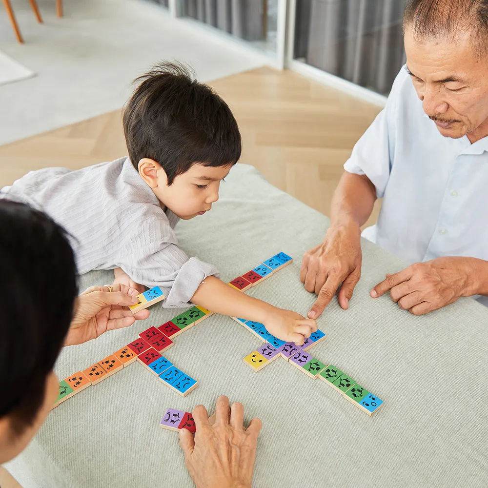 Eco-Friendly Wooden Emotion Dominoes