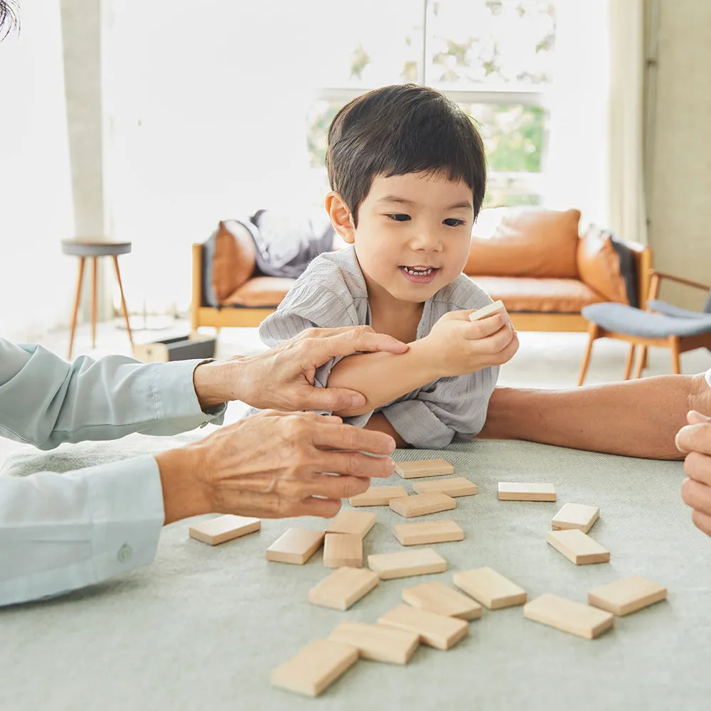 Eco-Friendly Wooden Emotion Dominoes