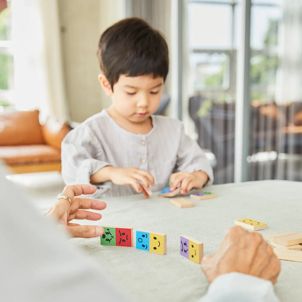 Eco-Friendly Wooden Emotion Dominoes