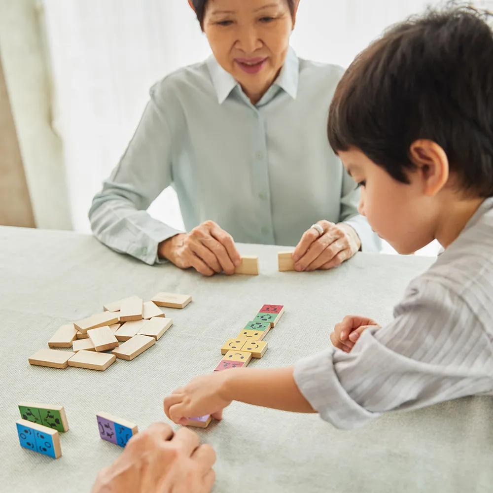 Eco-Friendly Wooden Emotion Dominoes