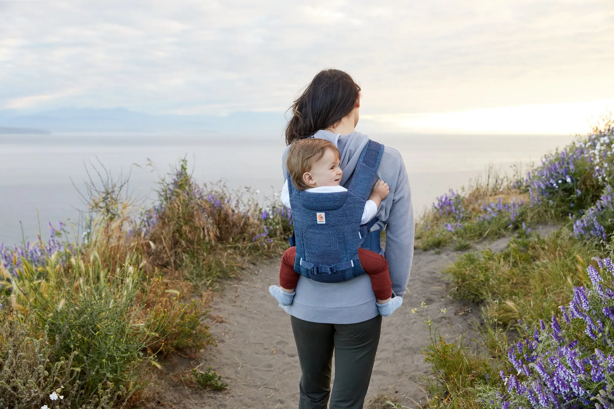 Ergobaby Aerloom Baby Carrier - Aurora