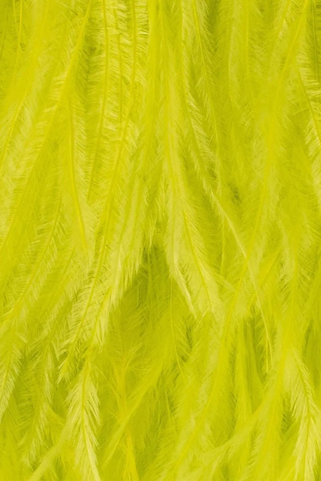 Estelle Yellow Feather Clutch